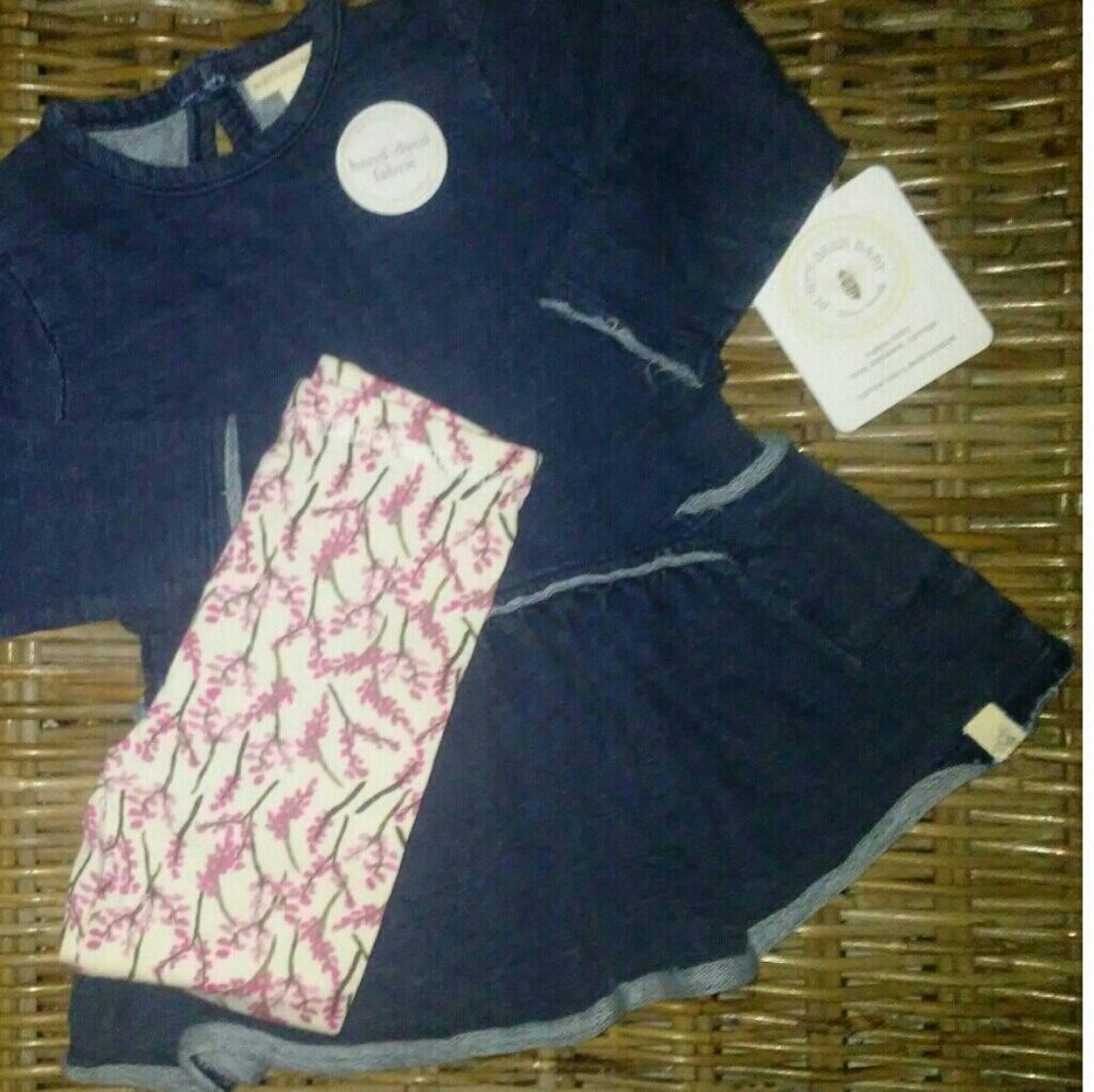 🐝FREE SHIPPING! NWT Burt's Bees Baby 2 pc outfit